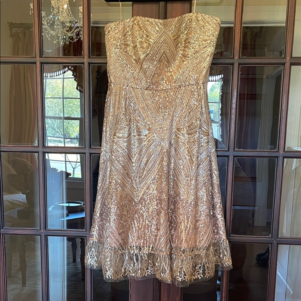 Dress the Population Strapless Gold and Sliver Sequined Winter Formal Dress, XL